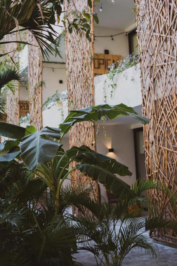 Jade Tulum Daire Dış mekan fotoğraf